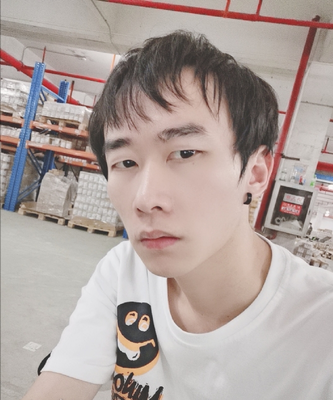 巷子里的猫的第一张照片--永春交友网